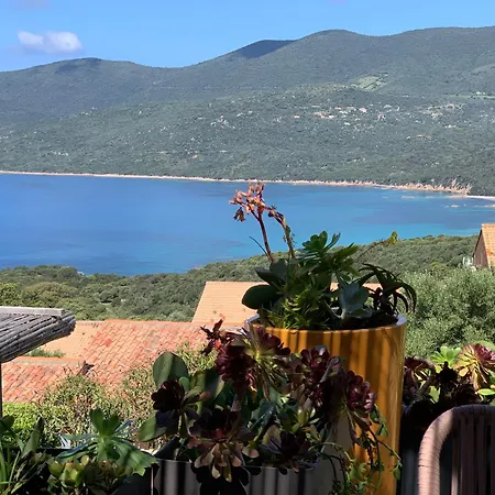La Bergerie De Cupabia * Serra-di-Ferro (Corsica)